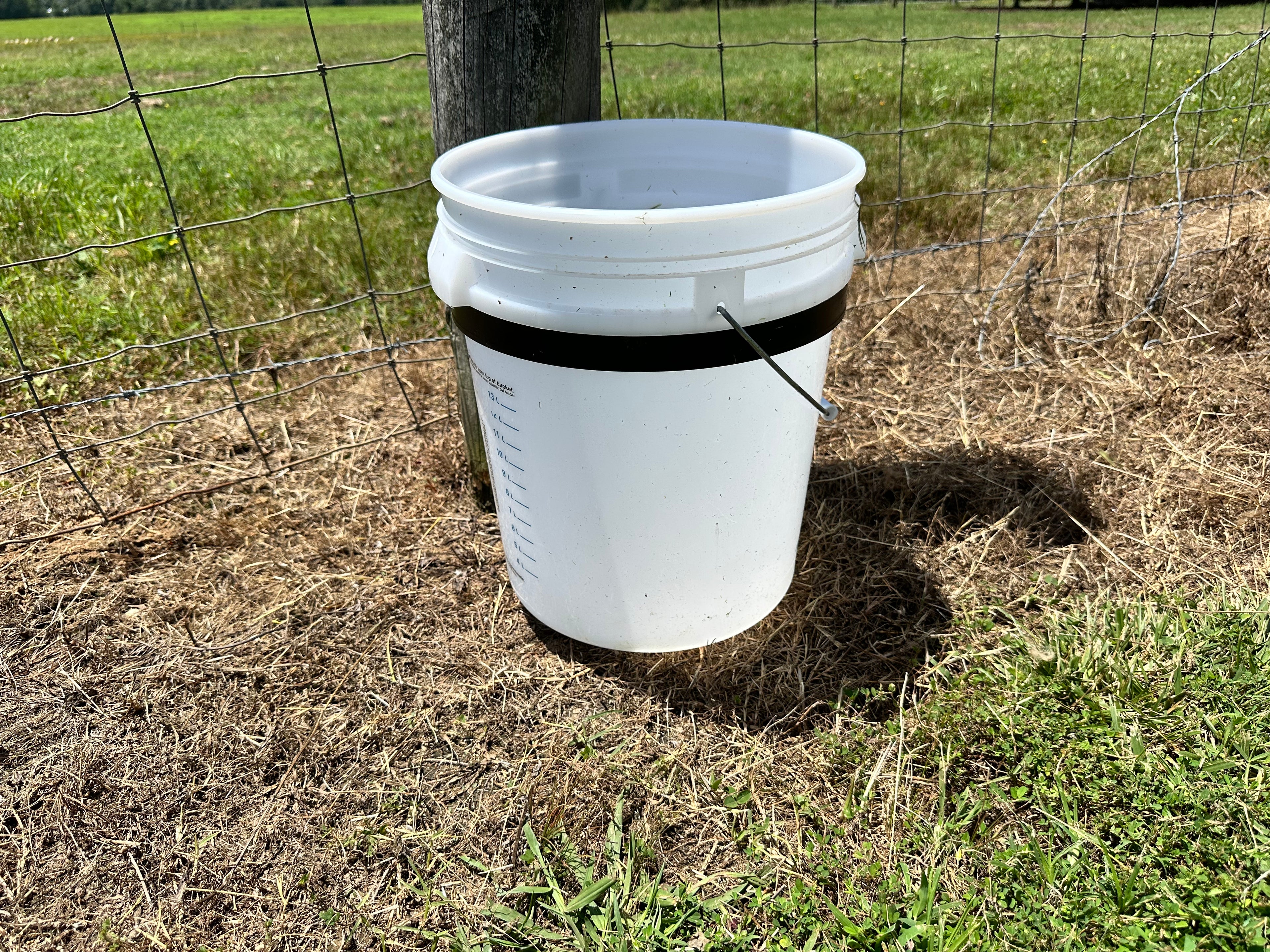 V4 - Dog Water Bucket Holder - Animal 5 Gallon Bucket Holder